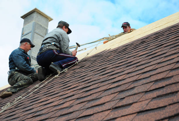 Best Roofing Contractor Near Me  in Mcminnville, TN