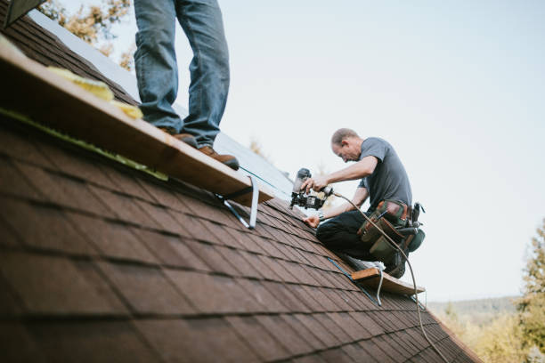 Professional Roofing Contractor in Mcminnville, TN