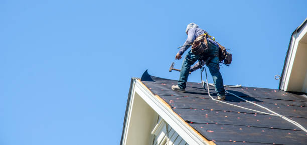 Best Shingle Roofing Installation  in Mcminnville, TN